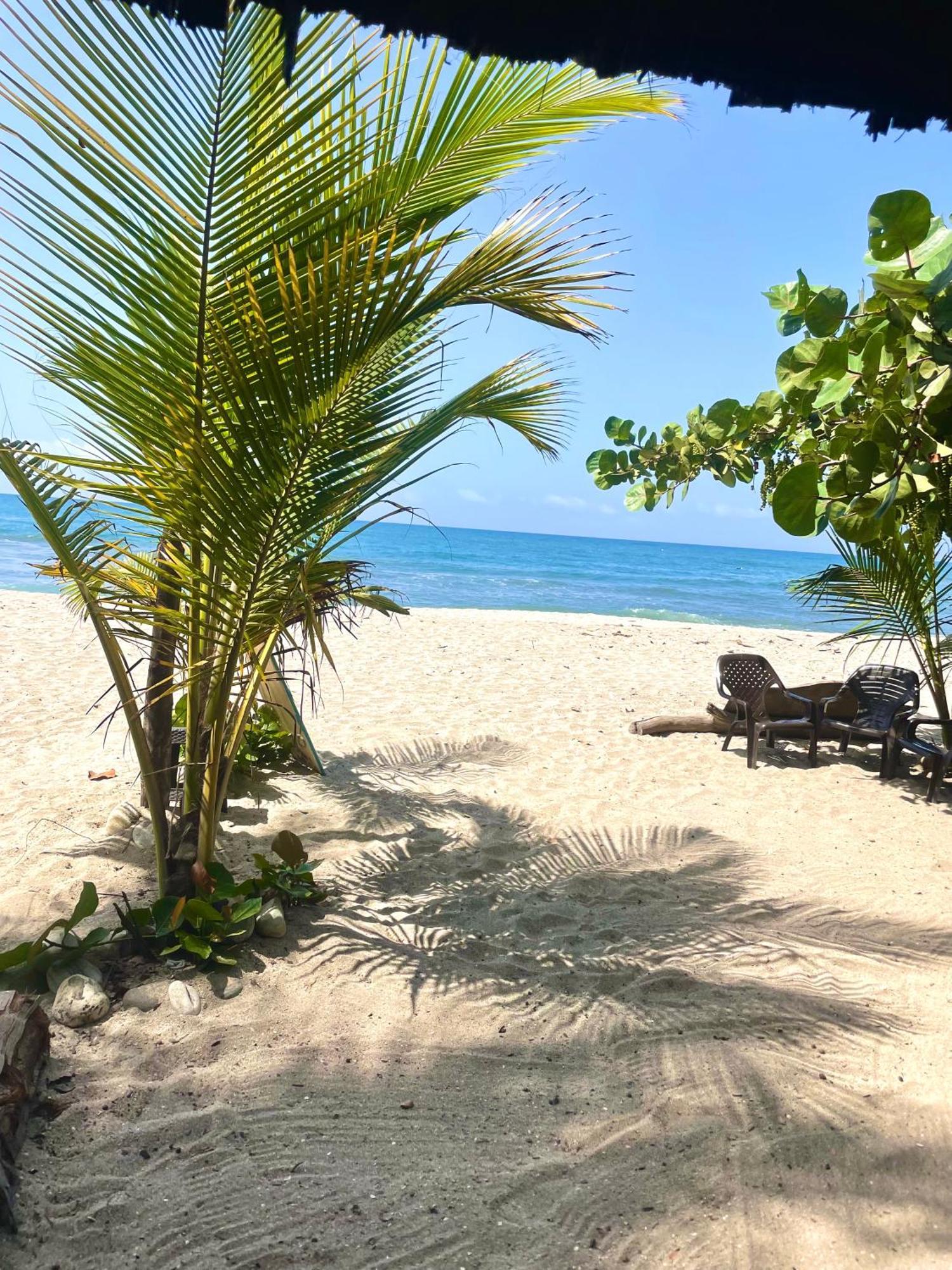 Chill And Surf Mendihuaca Hotel Guachaca Exterior foto